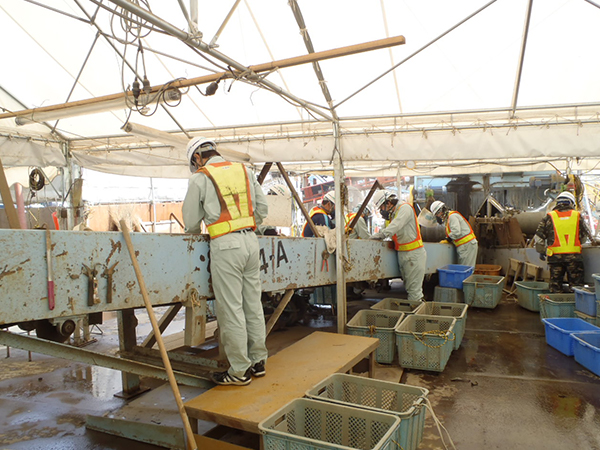 石巻市がれき災害状況